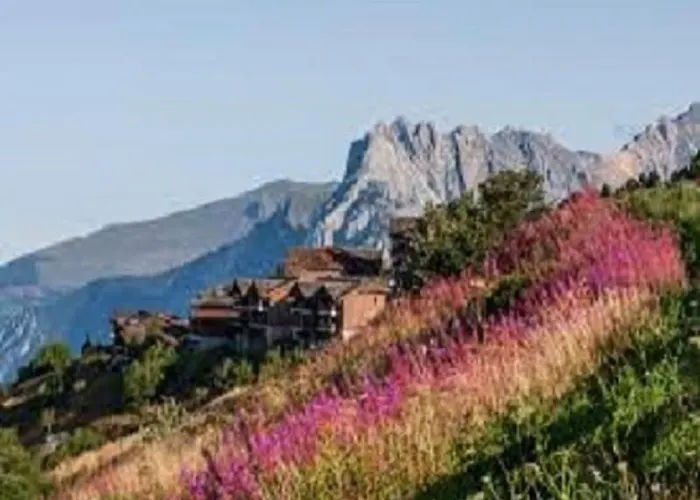 Nid Des Cimes